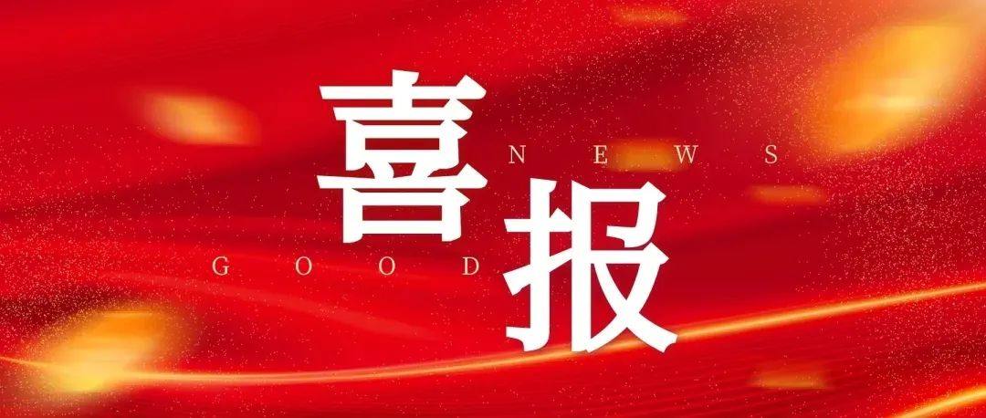 湖北中旅假日旅行社载誉而归，引领江汉区现代服务业新风尚