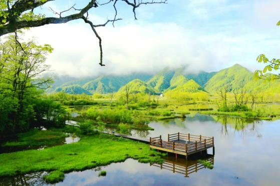 清凉神山·避暑之旅—武汉+神农架6天5晚